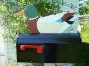 Decorative Bird mailboxes
