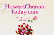 Flowers to script your compassions for your acquaintances