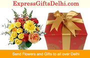 www.expressgiftsdelhi.com