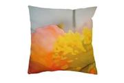 Designer Cushions | Cushions Online | Decorative Cushions - Gallop Lif