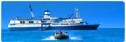 Get the best deal for your vacations with cruisediscounters