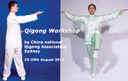 2 hours Qigong introduction workshop