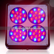 Apollo 4 LED Grow Light 180W LED Grow Light For Sale