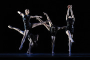 ACO – Sydney Dance Company