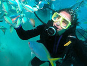 Best Snorkelling on The Great Barrier Reef. 