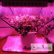 Full Spectrum LED Grow Light 120W with 3W Chip for Indoor Plants Growi