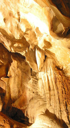 Jenolan Caves Day Tour