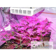 150W LED Grow Light For Indoor Grow Accessories