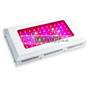 Full Spectrum 165W LED Grow Light Panel With 3W Chip