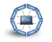 Choose Perfect Content Management System Solution