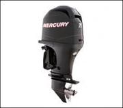 New Mercury 4-Stroke Outboard