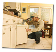 Eliminate Pests With Residential Pest Control Services