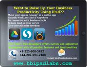 Want to Raise Up Your Business Productivity Using iPad?
