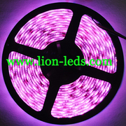 Wholesale Auto led,  LED strip light, HID from manufacture