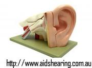 Hearing Aids and Hearing Tests | Hearing & Balance Centre Sydney