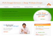 Website Desig for $99