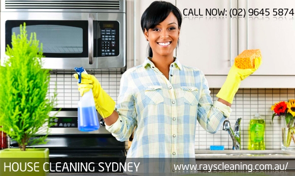 spring cleaning company sydney
