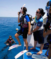Cairns Great Barrier Reef Trips