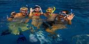 Scuba Diving Tour Great Barrier Reef