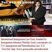 Immigration Attorney