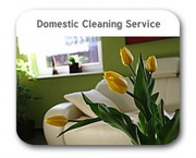 Get Spic&Span Domestic Cleaning Services in Sydney through Sweep Cleaning!