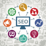 Expert SEO Services in India