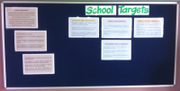 Pin Boards - T and C Visual Displays