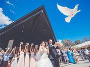 Wedding Cinematography Sydney