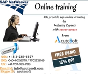 SAP NETWEAVER Online Training with Project Case Studies-AcuteSoft