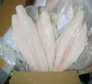 Frozen Cod Fillet,  fish fillet(cod) all sizes