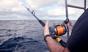 Charter Fishing Sydney - Specialized in Deep Sea Fishing Charters