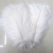 Decorative ostrich feathers