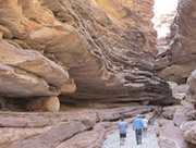 A Gay Grand Canyon Rafting Adventure on The Colorado River Potts Point