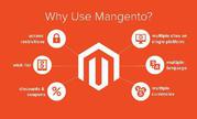 Acquire Professionalised Help of Magento Developers