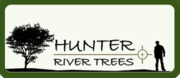 Hunter River Trees