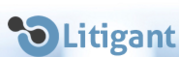 Litigant