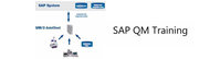 Sap QM Professional Certifications & Trainings From India