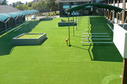 Premium Quality Synthetic Turf Sydney - Services Offered!