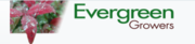 Evergreen Growers