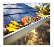 The Premier Gutter Cleaning Services in Sydney
