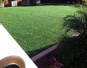 Trusted Synthetic Turf In Sydney - High Quality!