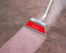 Carpet Cleaning Auckland