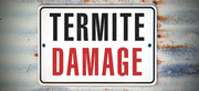 Termite Control In Sydney - Safe Pest Control