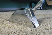 Efficient and Affordable Home Carpet Cleaners in Sydney