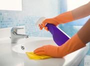 Professional cleaning services in Coogee