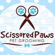 Cat grooming in Manly