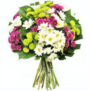 Royal North Shore Hospital Florist