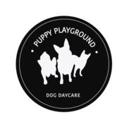 Dog Day Care Services Sydney