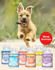 Buy Dog Bark Naturals Dog Treats