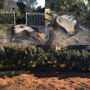 Quality Tree Stump Removal Service in Sydney by Professionals  